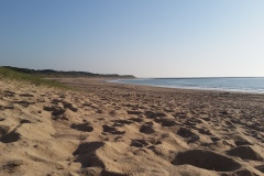 Plage de Bonnes